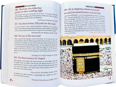 Golden Stories of Ali Bin Abi Talib - Afbeelding 3