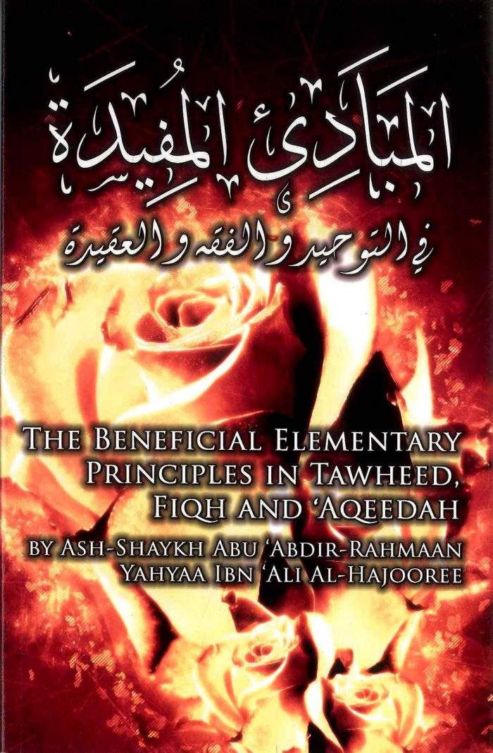 The Beneficial Elementary Principles In Tawheed Fiqh And Aqeedah (IBNUL QAYYIM Publications)