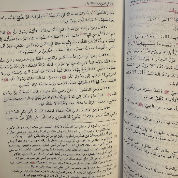 SHARH RIYAD ASSALIHIN – شرح رياض الصالحين - Image 2