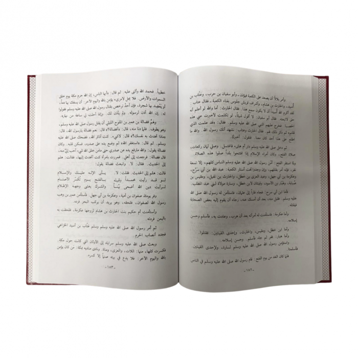 Mukhtasar Seerat Ur Rasool-مختصر سيرة - Image 2