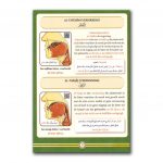 De Eigenschappen van de Arabische letters - Image 3