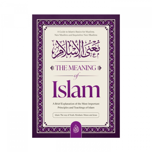 The Meaning Of Islam - Image 1