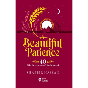 A Beautiful Patience: 40 Life Lessons from Surah Yusuf