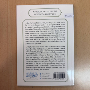 Patience And Gratitude (Abu Iyaad / Salafi Publishing)